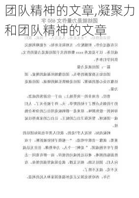 团队精神的文章,凝聚力和团队精神的文章