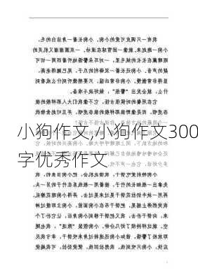 小狗作文,小狗作文300字优秀作文-第2张图片-星梦范文网