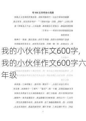 我的小伙伴作文600字,我的小伙伴作文600字六年级