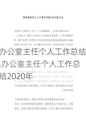 办公室主任个人工作总结,办公室主任个人工作总结2020年-第3张图片-星梦范文网