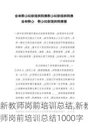 新教师岗前培训总结,新教师岗前培训总结1000字-第2张图片-星梦范文网