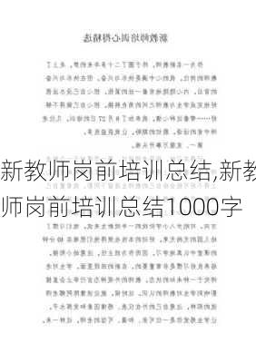 新教师岗前培训总结,新教师岗前培训总结1000字-第1张图片-星梦范文网