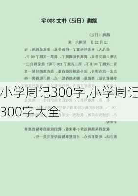 小学周记300字,小学周记300字大全-第2张图片-星梦范文网