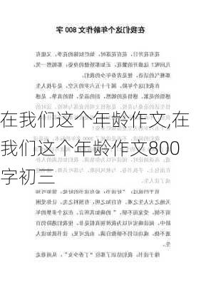 在我们这个年龄作文,在我们这个年龄作文800字初三-第2张图片-星梦范文网