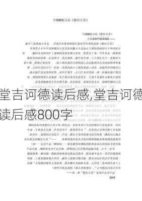 堂吉诃德读后感,堂吉诃德读后感800字-第2张图片-星梦范文网