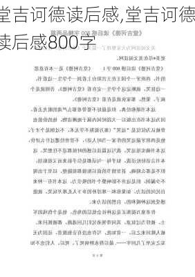 堂吉诃德读后感,堂吉诃德读后感800字-第3张图片-星梦范文网