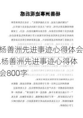 杨善洲先进事迹心得体会,杨善洲先进事迹心得体会800字