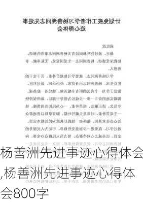 杨善洲先进事迹心得体会,杨善洲先进事迹心得体会800字-第3张图片-星梦范文网