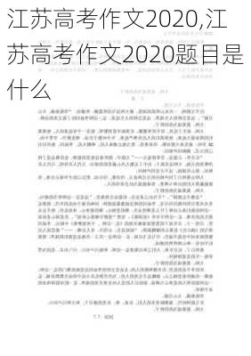 江苏高考作文2020,江苏高考作文2020题目是什么-第2张图片-星梦范文网