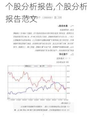 个股分析报告,个股分析报告范文-第1张图片-星梦范文网