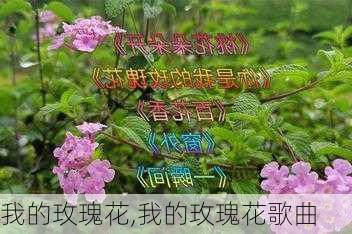 我的玫瑰花,我的玫瑰花歌曲-第2张图片-星梦范文网