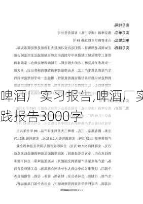 啤酒厂实习报告,啤酒厂实践报告3000字-第3张图片-星梦范文网