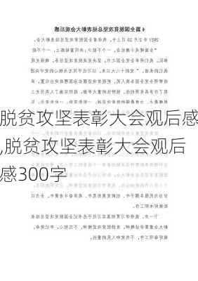 脱贫攻坚表彰大会观后感,脱贫攻坚表彰大会观后感300字-第3张图片-星梦范文网