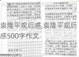 袁隆平观后感,袁隆平观后感500字作文-第2张图片-星梦范文网