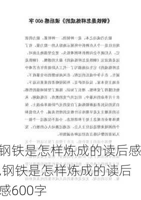 钢铁是怎样炼成的读后感,钢铁是怎样炼成的读后感600字-第1张图片-星梦范文网