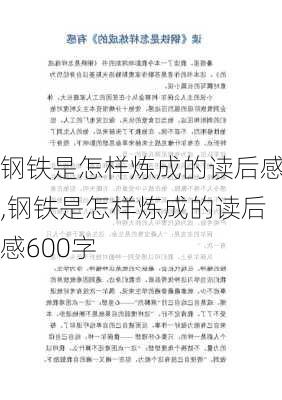 钢铁是怎样炼成的读后感,钢铁是怎样炼成的读后感600字-第2张图片-星梦范文网