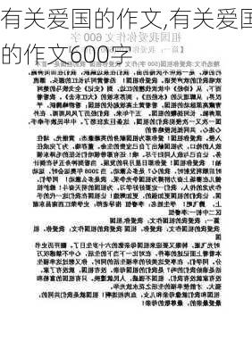 有关爱国的作文,有关爱国的作文600字-第3张图片-星梦范文网