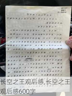 长空之王观后感,长空之王观后感600字-第3张图片-星梦范文网