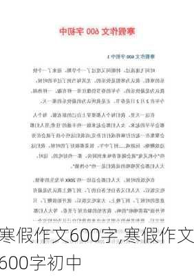 寒假作文600字,寒假作文600字初中-第1张图片-星梦范文网