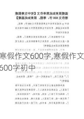 寒假作文600字,寒假作文600字初中-第3张图片-星梦范文网