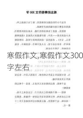 寒假作文,寒假作文300字左右