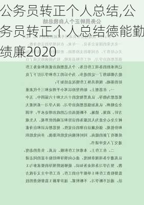 公务员转正个人总结,公务员转正个人总结德能勤绩廉2020