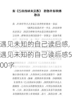 遇见未知的自己读后感,遇见未知的自己读后感500字-第1张图片-星梦范文网