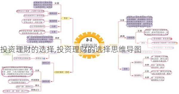 投资理财的选择,投资理财的选择思维导图-第1张图片-星梦范文网