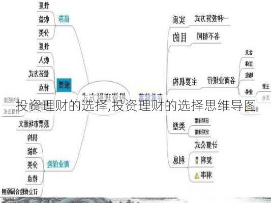 投资理财的选择,投资理财的选择思维导图-第3张图片-星梦范文网