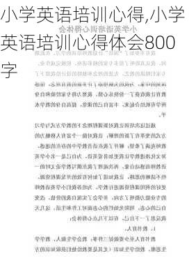 小学英语培训心得,小学英语培训心得体会800字-第3张图片-星梦范文网