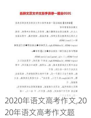 2020年语文高考作文,2020年语文高考作文题-第3张图片-星梦范文网