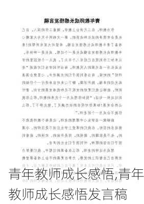 青年教师成长感悟,青年教师成长感悟发言稿-第2张图片-星梦范文网