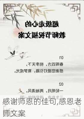 感谢师恩的佳句,感恩老师文案-第1张图片-星梦范文网