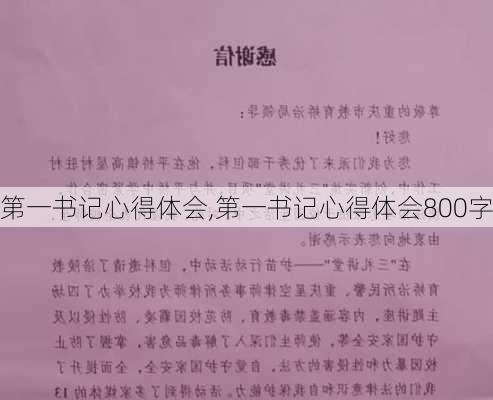 第一书记心得体会,第一书记心得体会800字