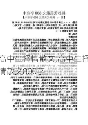 高中生抒情散文,高中生抒情散文800字-第3张图片-星梦范文网