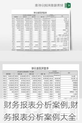 财务报表分析案例,财务报表分析案例大全-第1张图片-星梦范文网