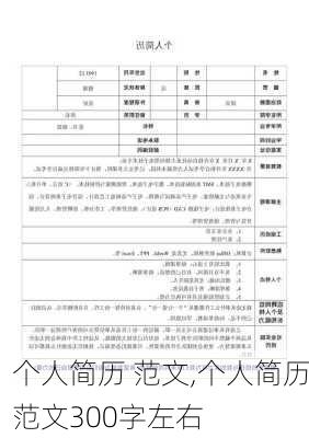 个人简历 范文,个人简历范文300字左右-第2张图片-星梦范文网