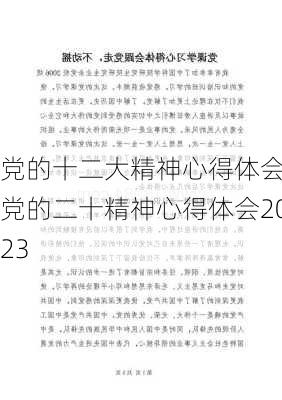 党的十二大精神心得体会,党的二十精神心得体会2023-第1张图片-星梦范文网