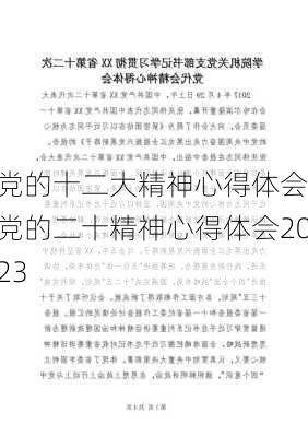 党的十二大精神心得体会,党的二十精神心得体会2023-第3张图片-星梦范文网