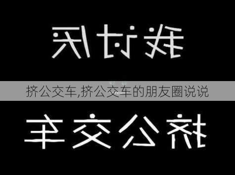 挤公交车,挤公交车的朋友圈说说-第2张图片-星梦范文网