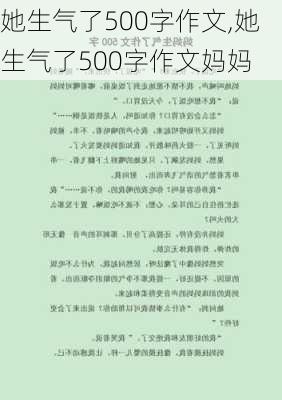 她生气了500字作文,她生气了500字作文妈妈-第1张图片-星梦范文网