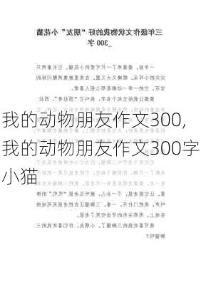 我的动物朋友作文300,我的动物朋友作文300字小猫-第1张图片-星梦范文网