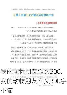 我的动物朋友作文300,我的动物朋友作文300字小猫-第2张图片-星梦范文网