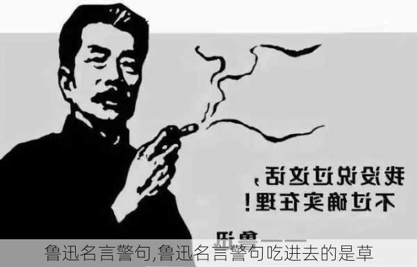 鲁迅名言警句,鲁迅名言警句吃进去的是草