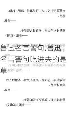 鲁迅名言警句,鲁迅名言警句吃进去的是草-第3张图片-星梦范文网