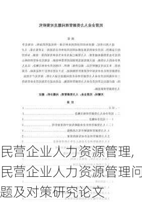 民营企业人力资源管理,民营企业人力资源管理问题及对策研究论文