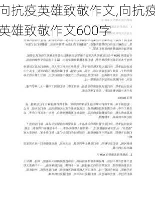 向抗疫英雄致敬作文,向抗疫英雄致敬作文600字-第2张图片-星梦范文网