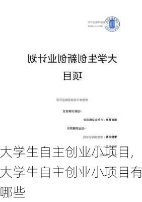 大学生自主创业小项目,大学生自主创业小项目有哪些