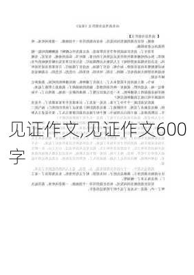 见证作文,见证作文600字-第2张图片-星梦范文网