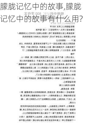 朦胧记忆中的故事,朦胧记忆中的故事有什么用?-第1张图片-星梦范文网